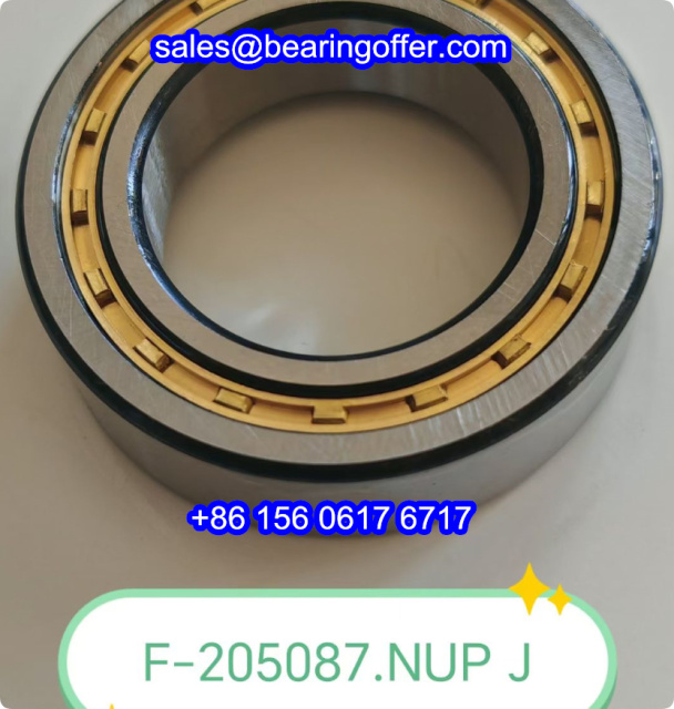 F-205087 Cylindrical Roller Bearing F-205087.NUPJ Rolling Bearing - Stock for Sale