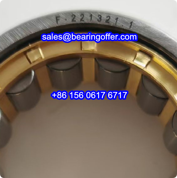 F-221321.1 Hydraulic Pump Bearing 49.5x80x32 Roller Bearing F-221321.01 - Stock for Sale