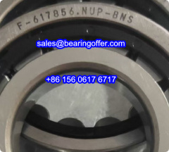 F-617856.NUP-BNS Automobile Bearing F-617856 Roller Bearing - Stock for Sale