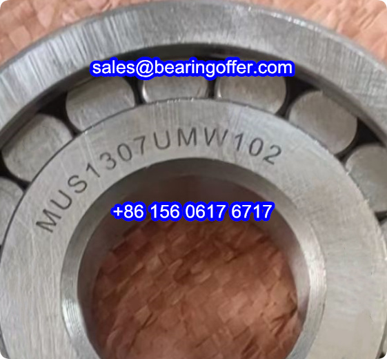 MUS1307UMW102 Cylindrical Roller Bearing MUS1307 Rolling Bearing - Stock for Sale
