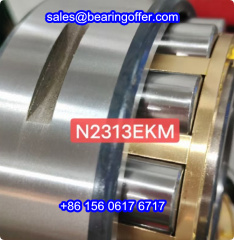 N2313EKM Cylindrical Roller Bearing 65x140x48 Rolling Bearing N2313 - Stock for Sale
