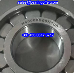 N40000S05H100 Cylindrical Roller Bearing 40x85x20 Rolling Bearing N40000.S05.H100 - Stock for Sale