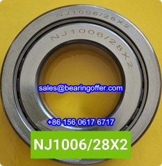 NJ1006/28X2 Cylindrical Roller Bearing NJ1006-28X2 Rolling Bearing - Stock for Sale
