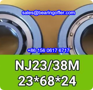 NJ23/38M Cylindrical Roller Bearing 23x68x24 Rolling Bearing NJ23/38 - Stock for Sale