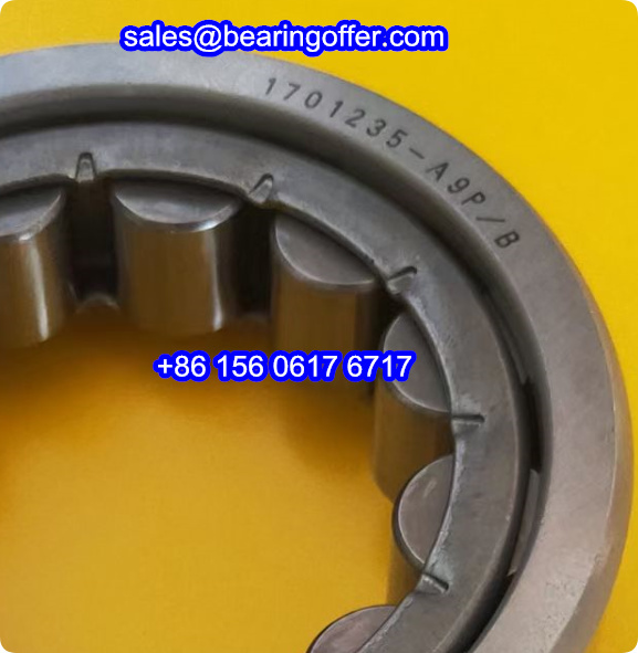 1701235-A9P/B Cylindrical Roller Bearing 1701235-A9PB Rolling Bearing - Stock for Sale