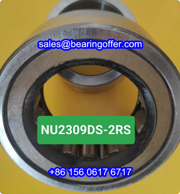 NU2309DS-2RS Cylindrical Roller Bearing NU2309DS Rolling Bearing - Stock for Sale