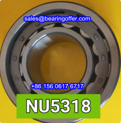 NU5318 Cylindrical Roller Bearing NU 5318 Rolling Bearing - Stock for Sale