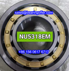 NU5318EM Cylindrical Roller Bearing NU5318E Rolling Bearing NU5318M - Stock for Sale