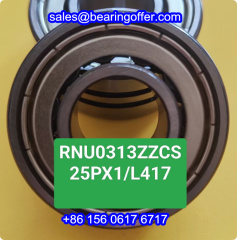 RNU0313ZZCS25PX1/L417 Cylindrical Roller Bearing 17x40x18 Roller Bearing - Stock for Sale