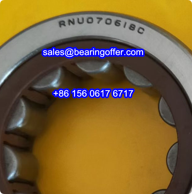 RNU070618C Automobile Bearing RNU070618 Roller Bearing - Stock for Sale