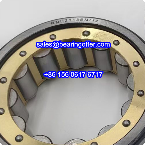 RNU2313EM/12 Cylindrical Roller Bearing RNU2313EM-12 Rolling Bearing - Stock for Sale