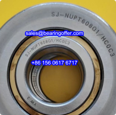 SJ-NUPT608Q1/HC0C3 Cylindrical Roller Bearing SJ-NUPT608Q1 Rolling Bearing - Stock for Sale