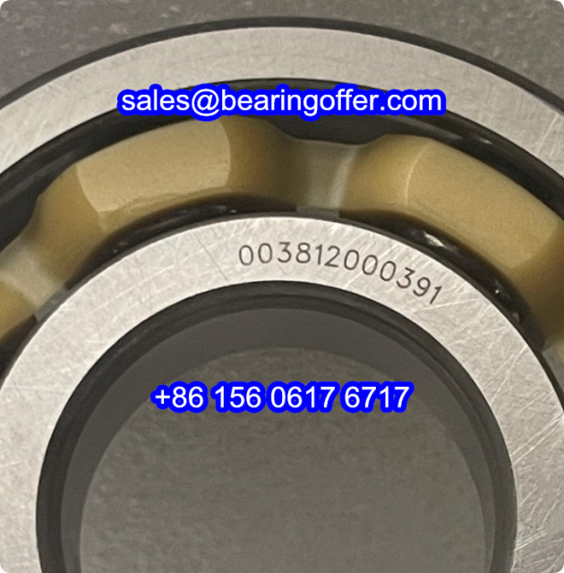 003812000391 Automobile Bearing 40x95x23 Ball Bearing - Stock for Sale