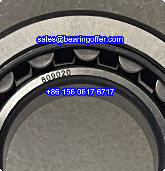 F-809020.ZL Cylindrical Roller Bearing 30x58x17 Rolling Bearing 809020 - Stock for Sale