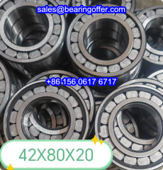 42x80x20 Cylindrical Roller Bearing 42*80*20 Rolling Bearing - Stock for Sale