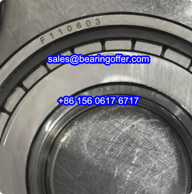 F110603 Cylindrical Roller Bearing 44x80x14 Rolling Bearing F-110603 - Stock for Sale