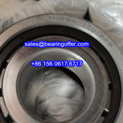 TN289-1701223 Automobile Bearing TN289/1701223 Roller Bearing - Stock for Sale