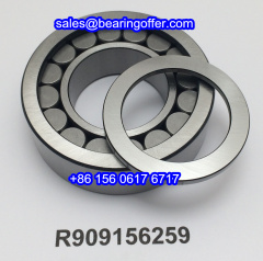 R909156259 Hydraulic Pump Bearings R 909156259 Roller Bearing - Stock for Sale
