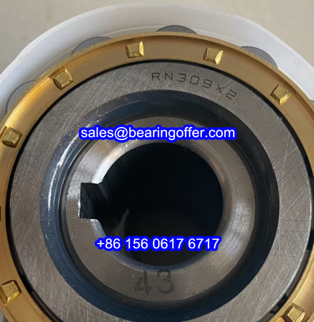 RN309X2 Cylindrical Roller Bearing RN309 X2 Bearing for Gear Reducer - Stock for Sale