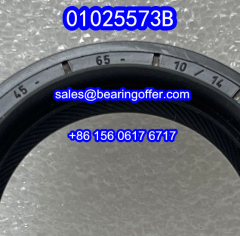01025573B Automobile Oil Seal 45x65x10/14 Oil Seals 010255738 - Stock for Sale