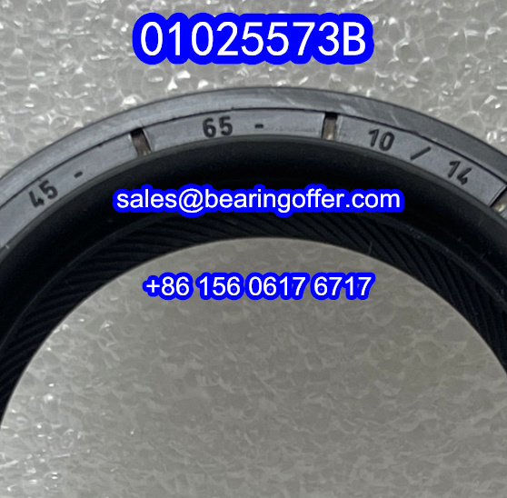 01025573B Automobile Oil Seal 45x65x10/14 Oil Seals 010255738 - Stock for Sale