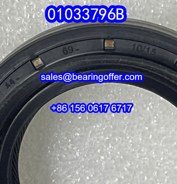 01033796B Automobile Oil Seal 44x69x10/15 Oil Seals 010337968 - Stock for Sale