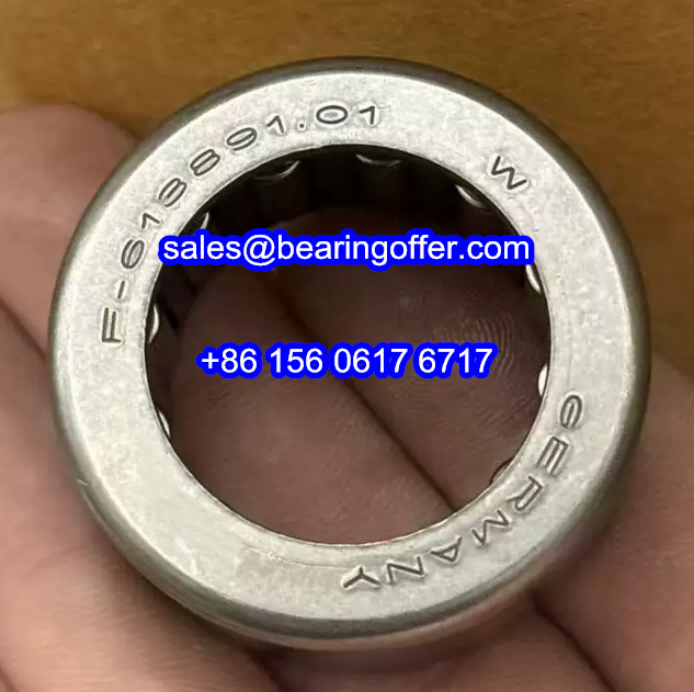 F-613891.01 Automobile Bearing 25x39x20 Roller Bearing F-61389101 - Stock for Sale