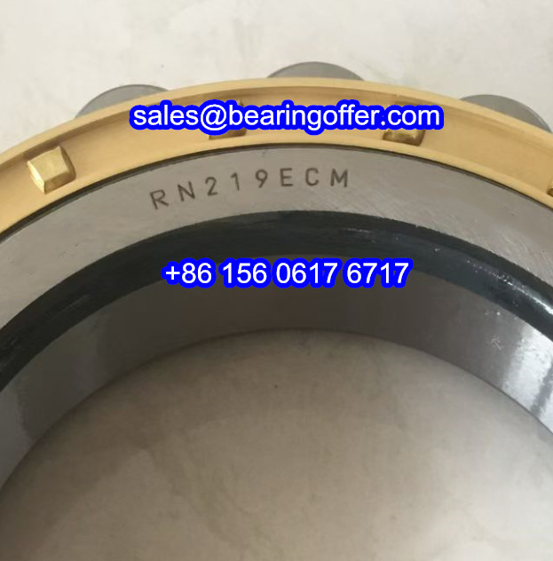 RN219ECM Cylindrical Roller Bearing 95*151.5*32 Rolling Bearing RN219 - Stock for Sale