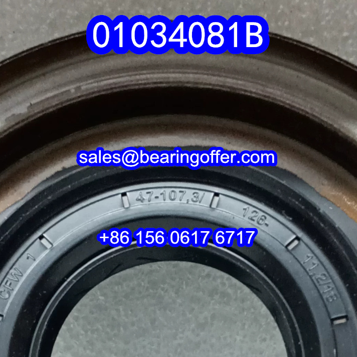 01034081B Automobile Oil Seal 47X107.3/126X11.2/18 Oil Seals 010340818 - Stock for Sale