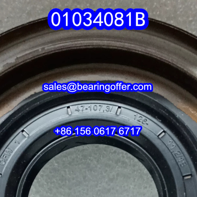 01034081B Automobile Oil Seal 47X107.3/126X11.2/18 Oil Seals 010340818 - Stock for Sale