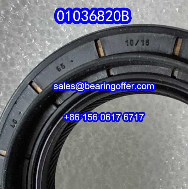 01036820B Automobile Oil Seal 40x65x10/15 Oil Seals 010368208 - Stock for Sale