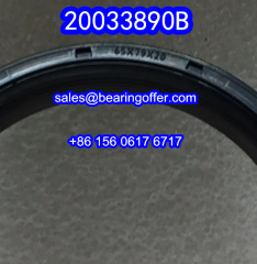 20033890B Automobile Oil Seal 65x79x20 Oil Seals 200338908 - Stock for Sale