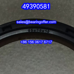 49390581 Automobile Oil Seal 65x79x10 Oil Seals - Stock for Sale