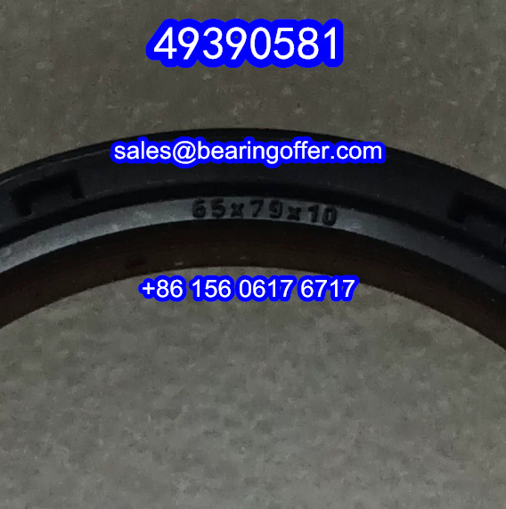 49390581 Automobile Oil Seal 65x79x10 Oil Seals - Stock for Sale