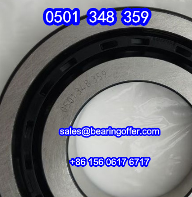 0501 348 359 Automobile Bearing 0501348359 Ball Bearing - Stock for Sale