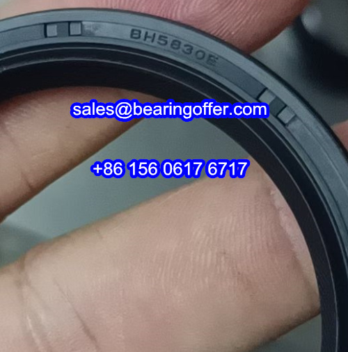 BH5830E Automobile Oil Seal BH5830 Oil Seals - Stock for Sale