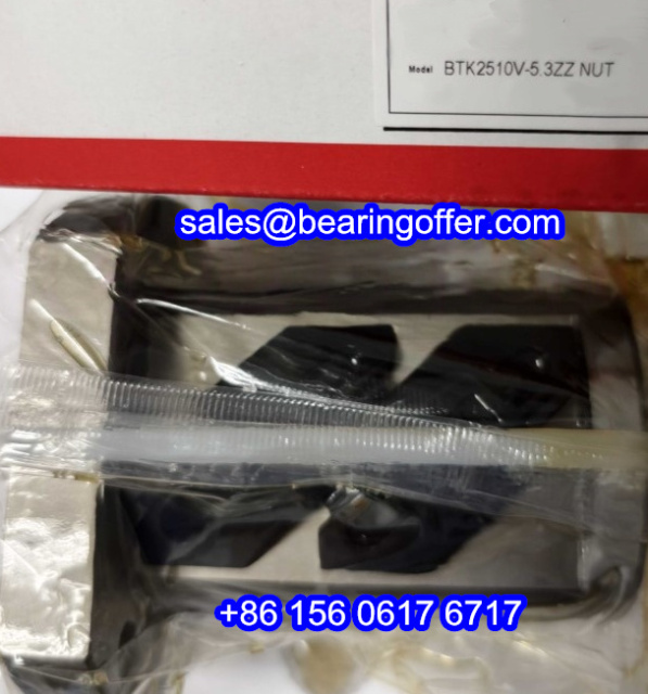 BTK2510V-5.3ZZ Ball Screw Nut BTK2510V-5.3 NUT BTK2510V - Stock for Sale