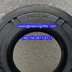 XG0019E Automobile Oil Seal 20X43X7.3/9.9 Oil Seals - Stock for Sale