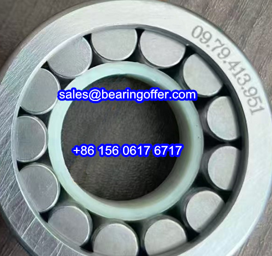 0979413951 Cylindrical Roller Bearing 09 79 413 951 Rolling Bearing 09.79.413.951 - Stock for Sale
