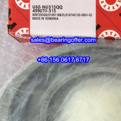 499070-315 Cylindrical Roller Bearing 499070315 Rolling Bearing - Stock for Sale