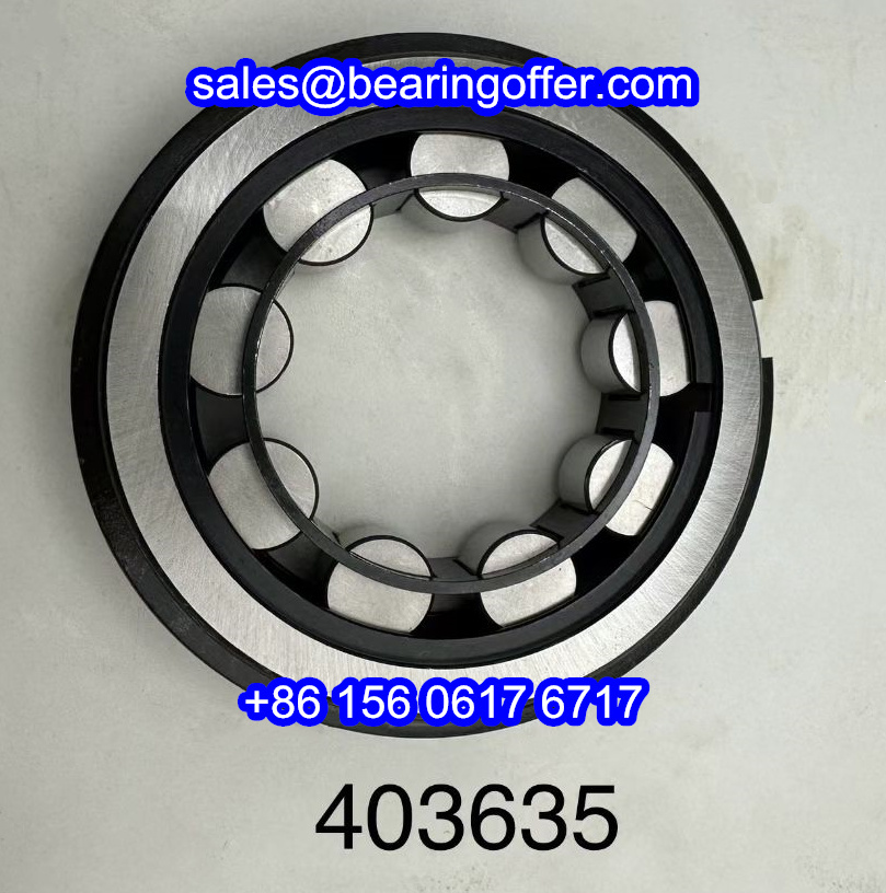403635 Cylindrical Roller Bearing 403635 Rolling Bearing - Stock for Sale