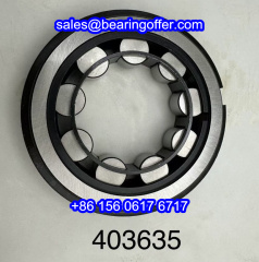 403635 Cylindrical Roller Bearing 403635 Rolling Bearing - Stock for Sale