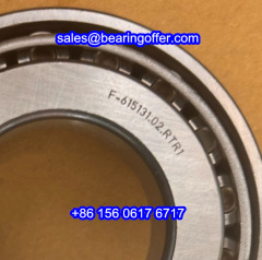 F-615131.02.RTR1 Differential Bearing F-615131.02.LTR1 Roller Bearing F-615131.02.TR1 - Stock for Sale