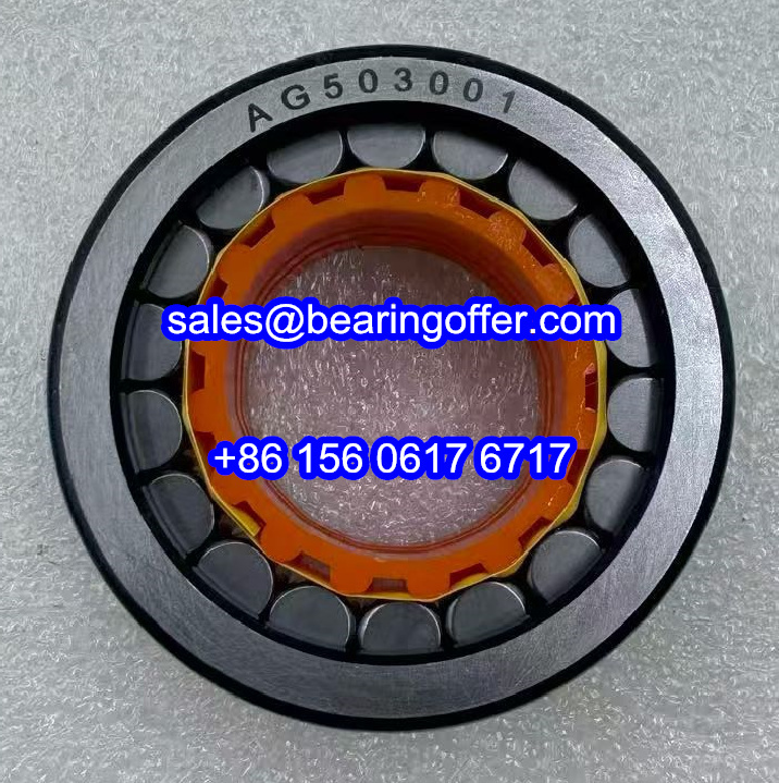 AG503001 Yamaha Motor Bearing 30x49x20 Roller Bearing 4AG503001 - Stock for Sale