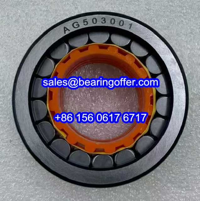 AG503001 Yamaha Motor Bearing 30x49x20 Roller Bearing 4AG503001 - Stock for Sale