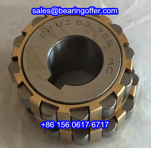 22UZ831729MC Eccentric Bearings 22*58*32 Roller Bearing - Stock for Sale