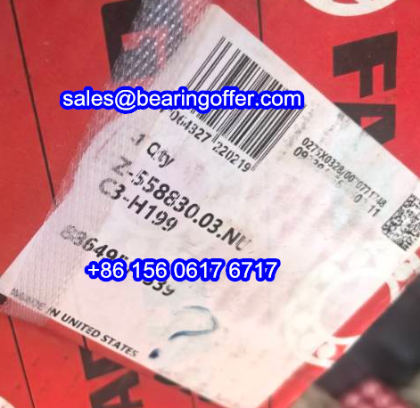Z-558830.03.NU-C3-H199 Railway Bearing Z-558830.03.NU Roller Bearing - Stock for Sale