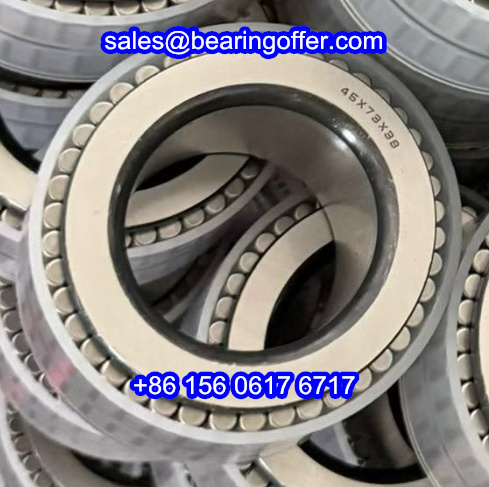 RNN45X73X38 Gearbox Bearing 45X73X38 Roller Bearing - Stock for Sale