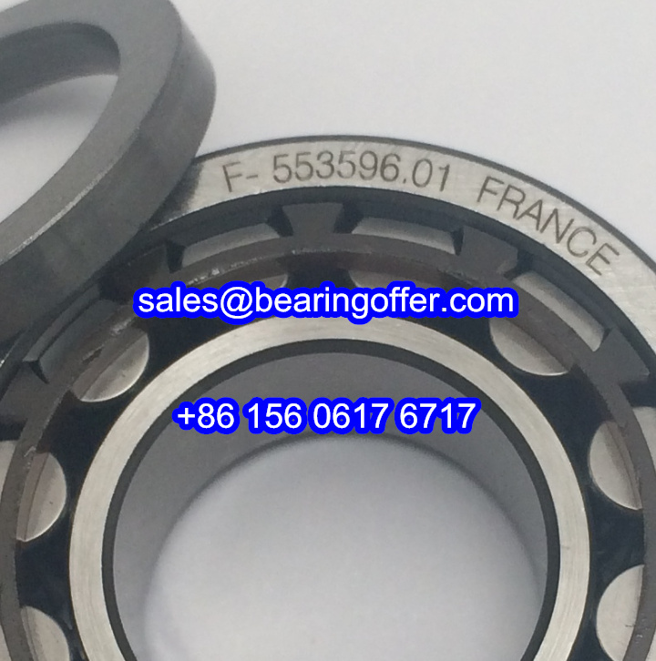 F-553596.01.NUP Cylindrical Roller Bearing 17x35x14/12 Rolling Bearing - Stock for Sale