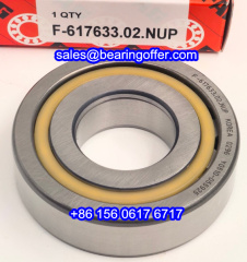 F-617633.02.NUP Automobile Bearing F-617633.02 Roller Bearing F-617633 - Stock for Sale